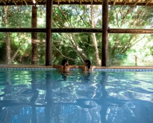 Retiro de bem-estar e transformação em SP