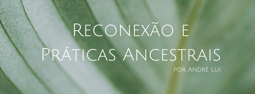 Vivências com as Ervas com André Lui no Hotel Ponto de Luz: práticas ancestrais, energia das plantas e saberes Afro-Brasileiros em meio à natureza.
