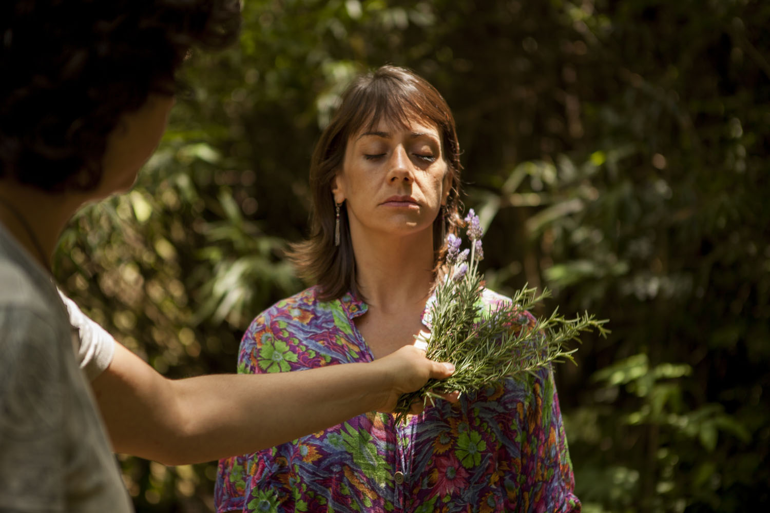 Natureza purificadora