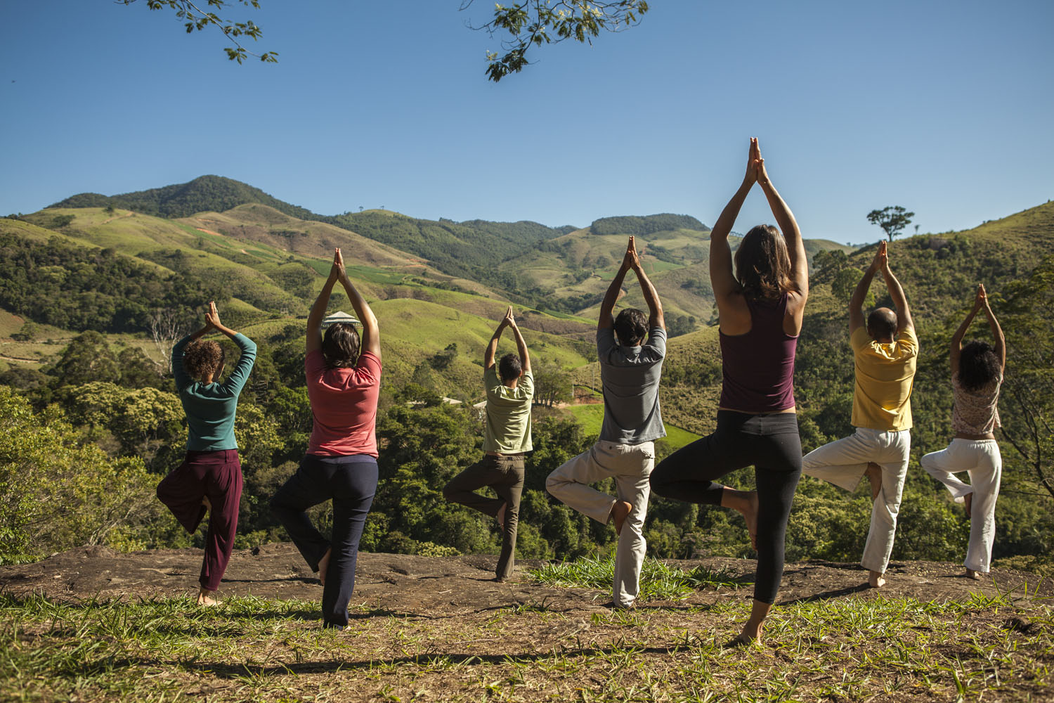 Hatha Vinyasa Yoga