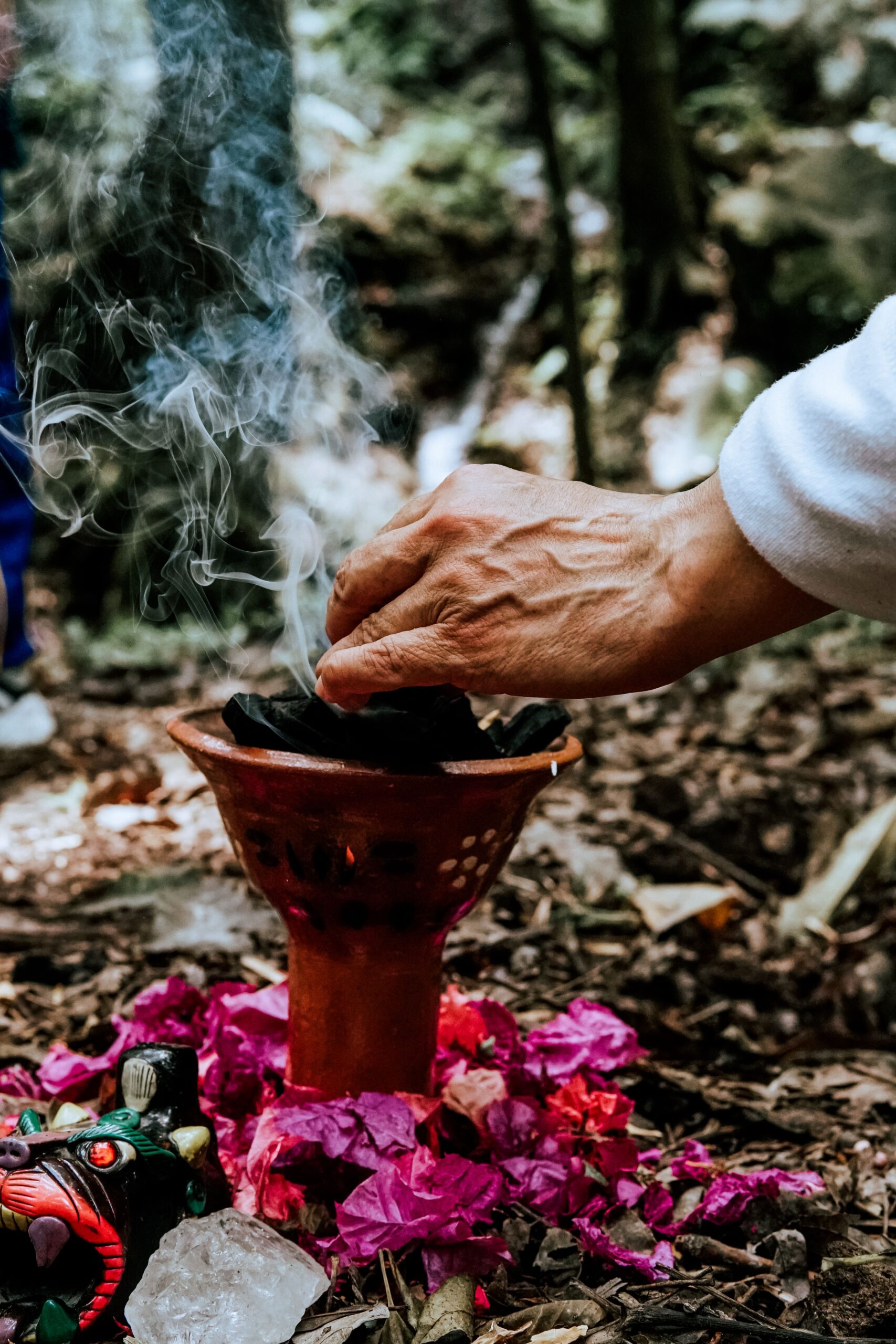 Vivência ao ar livre na natureza da Serra da Mantiqueira